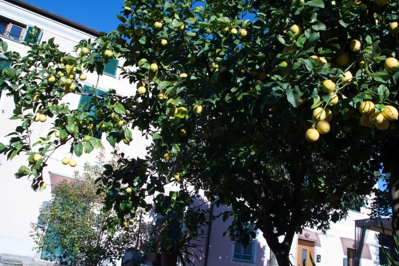 Appartamento Cielo&Terra2 Levanto Dış mekan fotoğraf